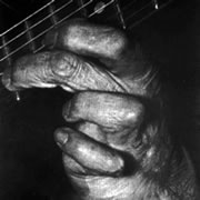 La mano di Django